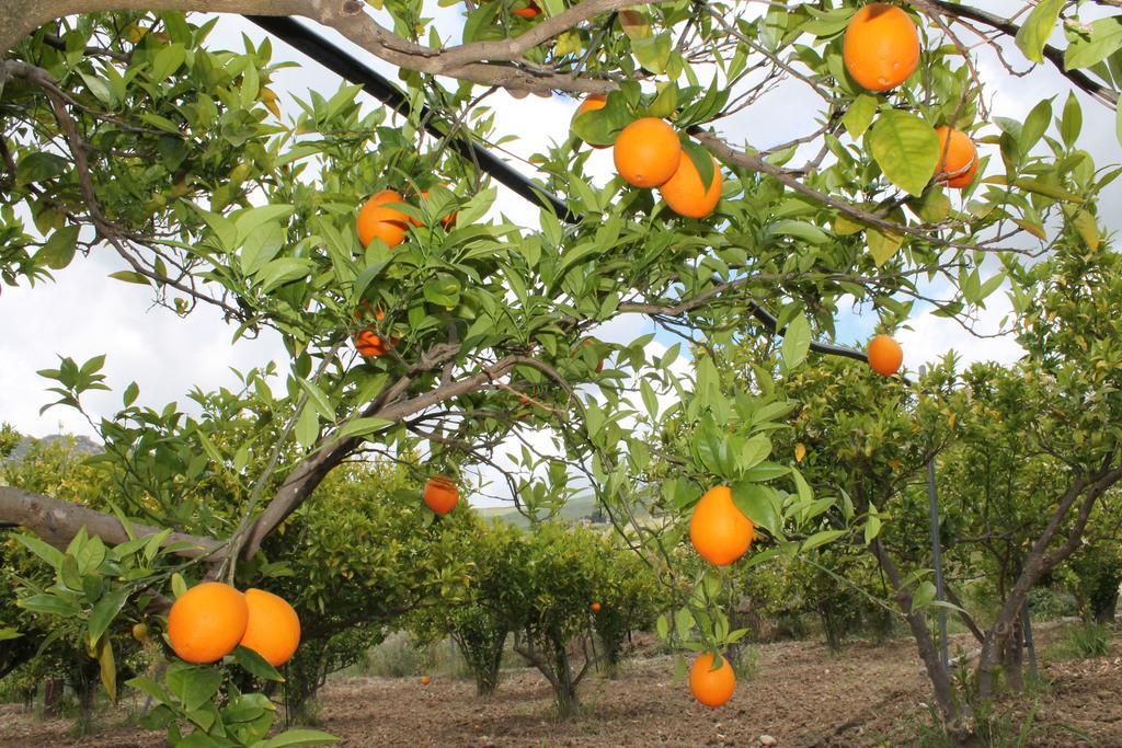 Tenuta Lanza Il Mulino Acquaviva Platani Bagian luar foto