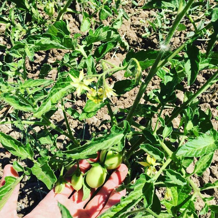 Tenuta Lanza Il Mulino Acquaviva Platani Bagian luar foto
