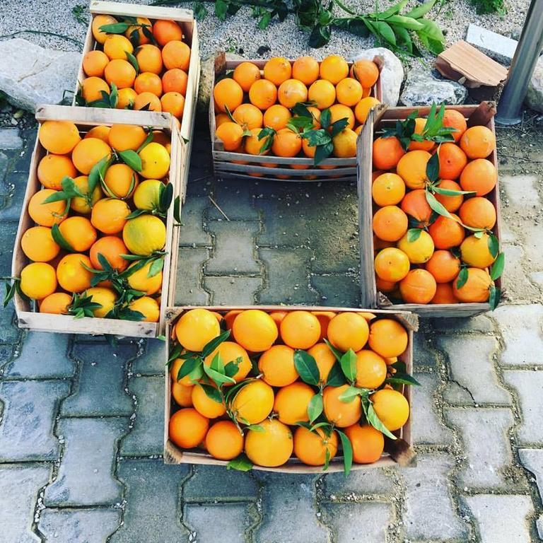 Tenuta Lanza Il Mulino Acquaviva Platani Bagian luar foto